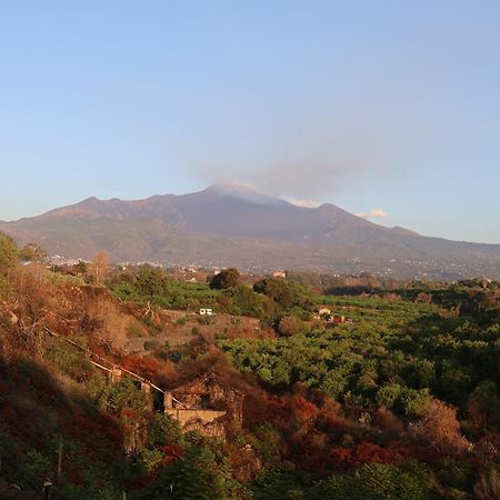 Il Pampaleone Glamping And Resort Acireale Zewnętrze zdjęcie